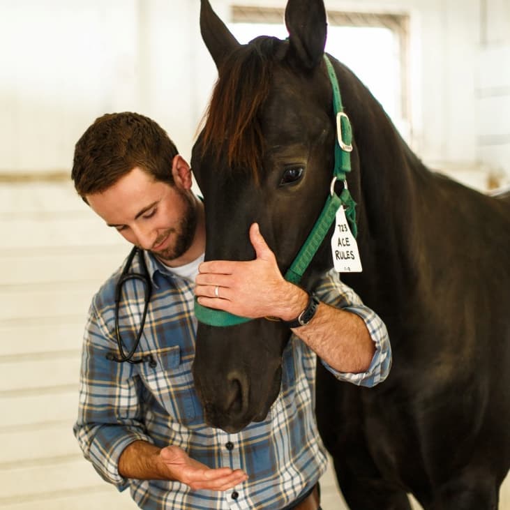 Apoquel use deals in horses