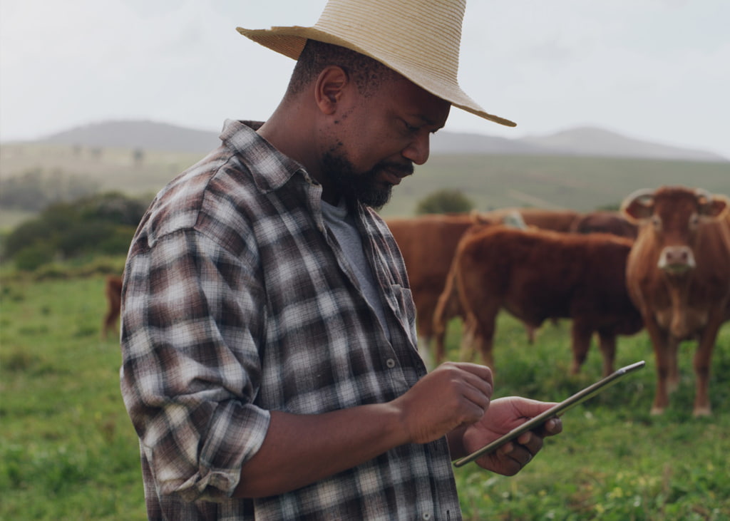 Cattle operator working from tablet in the pasture - Zoetis