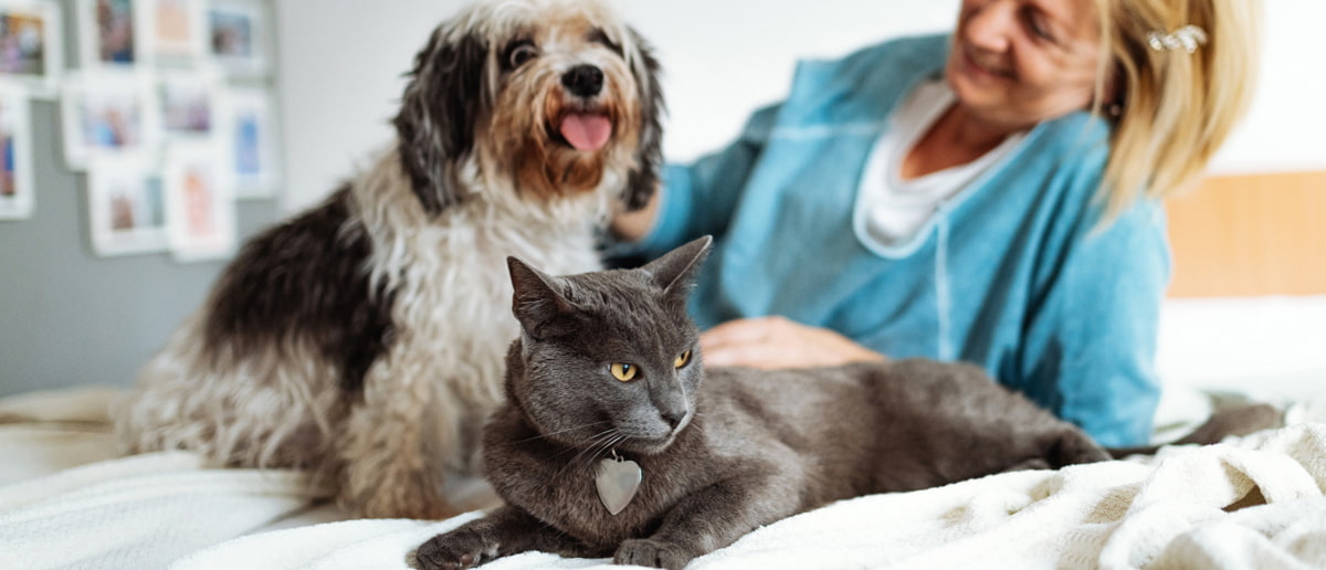 Dog and cat with owner on bed - Zoetis