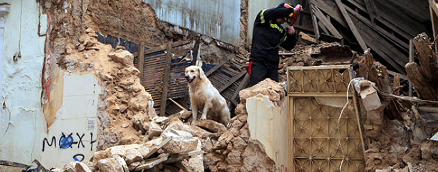 dog and fireman