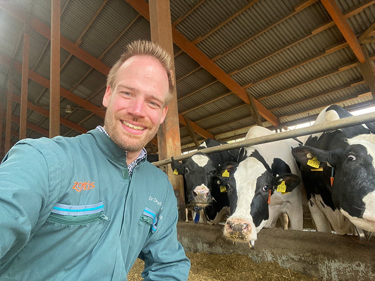 Zoetis livestock veterinarian posing for selfie with dairy cattle