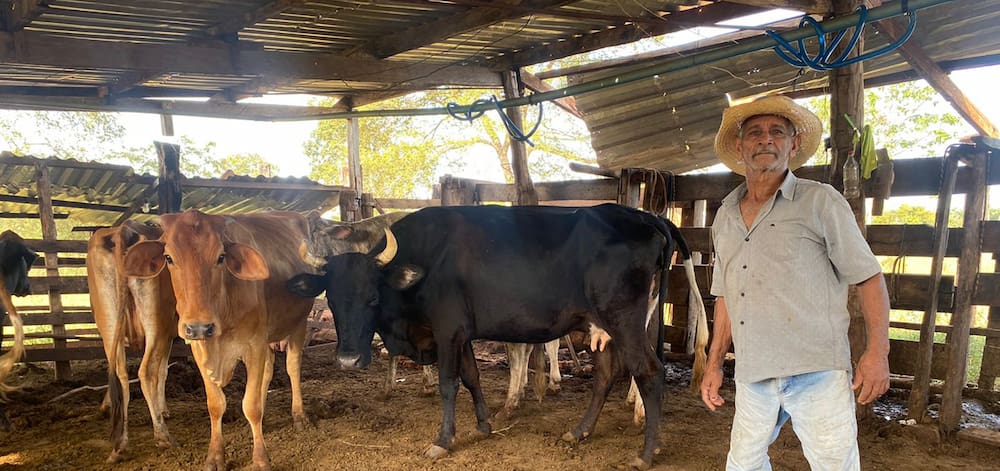 IBS producer with cattle | Zoetis