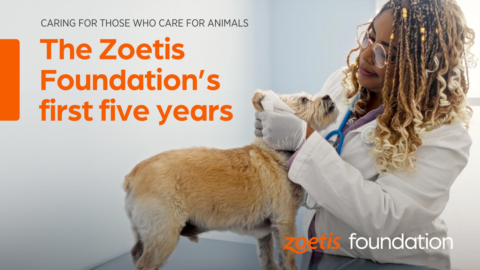 Veterinarian examining small dog - Zoetis