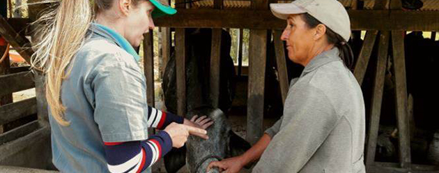 Supporting Family Farms in Brazil 