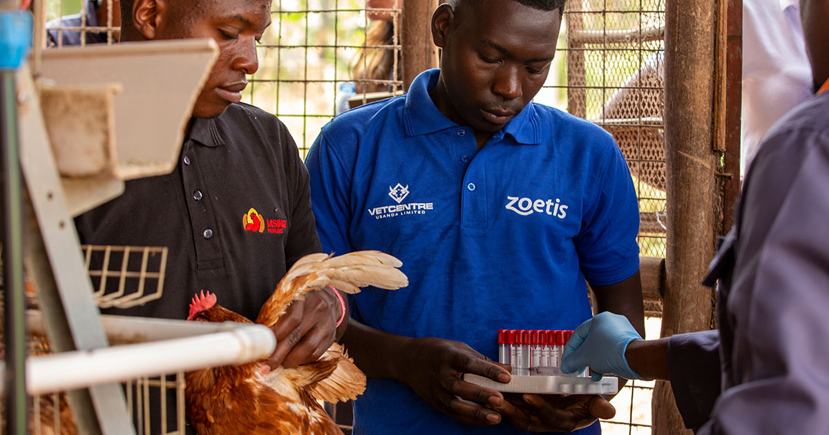 Access to Veterinary Care in Emerging Markets Zoetis