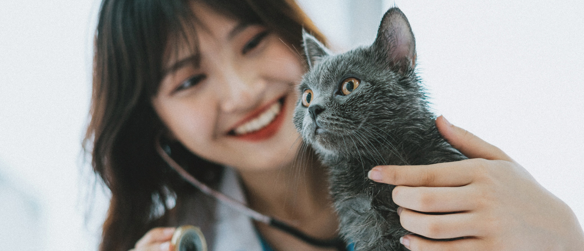 Veterinarian smiling and examining feline patient - Zoetis