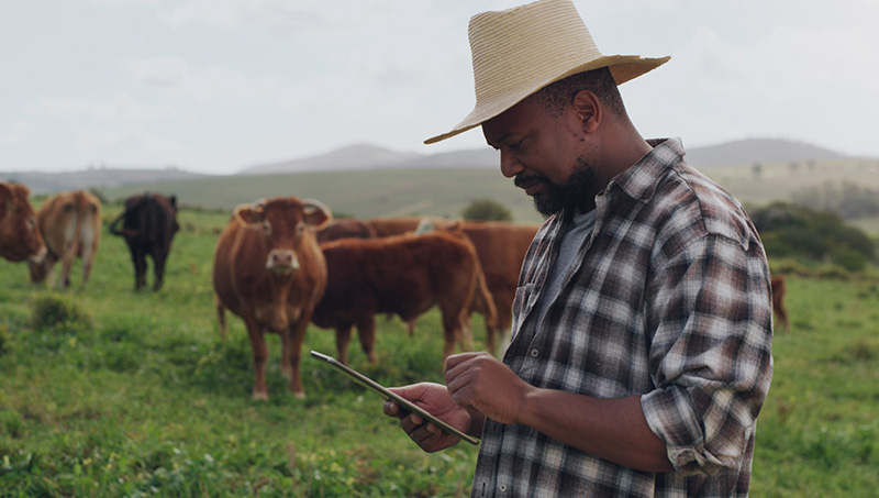 Cattle operator working from tablet in the pasture - Zoetis