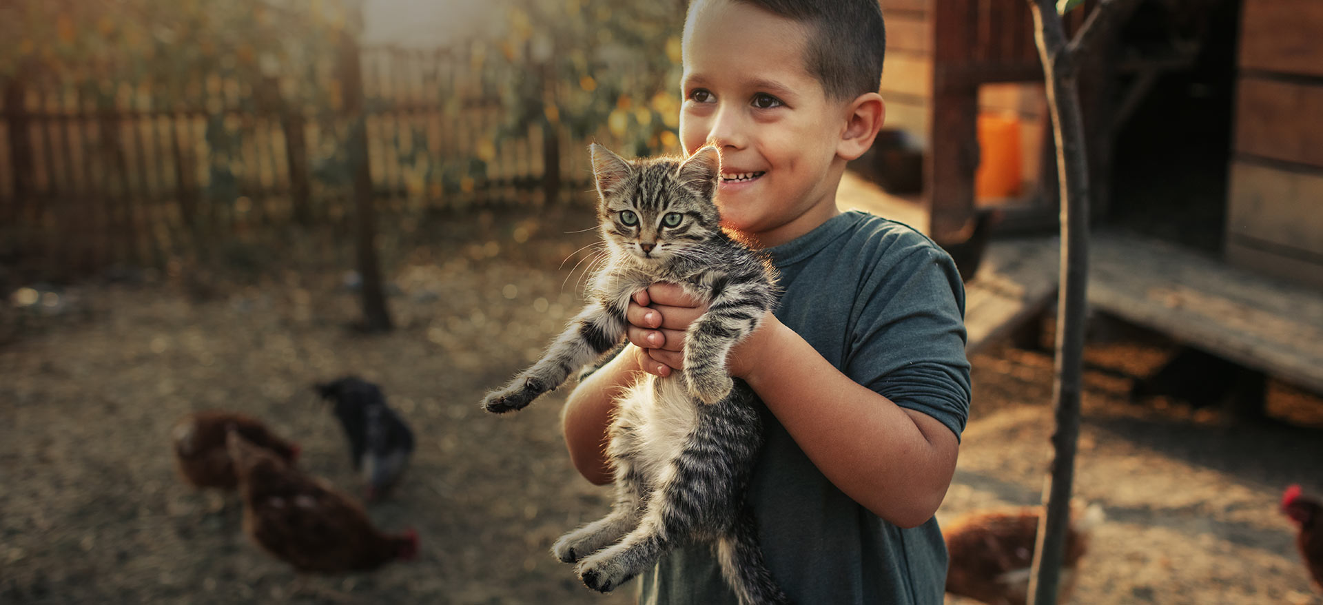 Young boy holding kitten - Zoetis