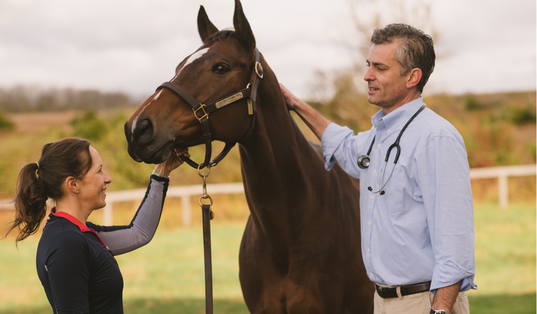 Equine veterinarian tending to patient - Zoetis