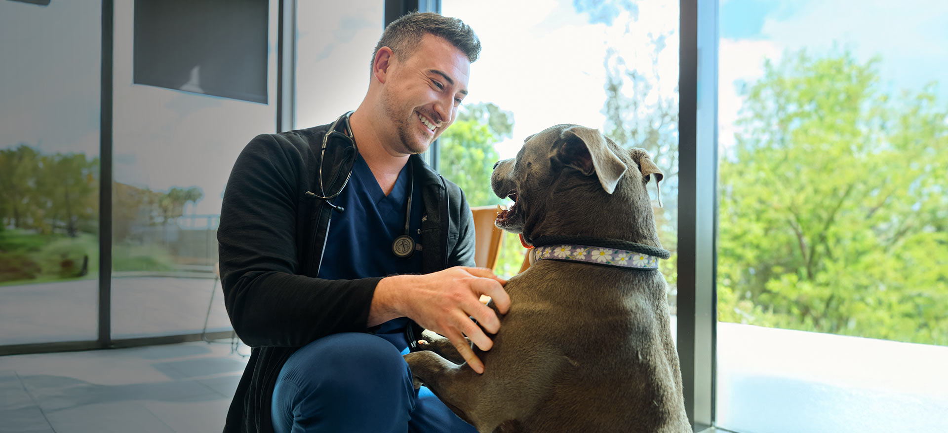 Veterinarian greeting dog at clinic - Zoetis
