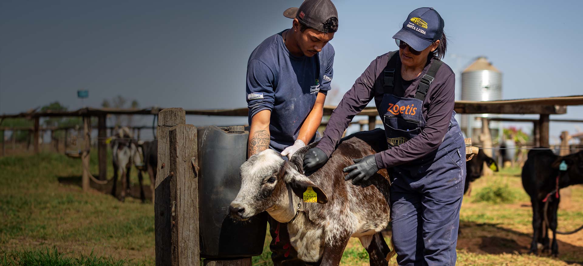 Zoetis colleague with cattle producer - Zoetis