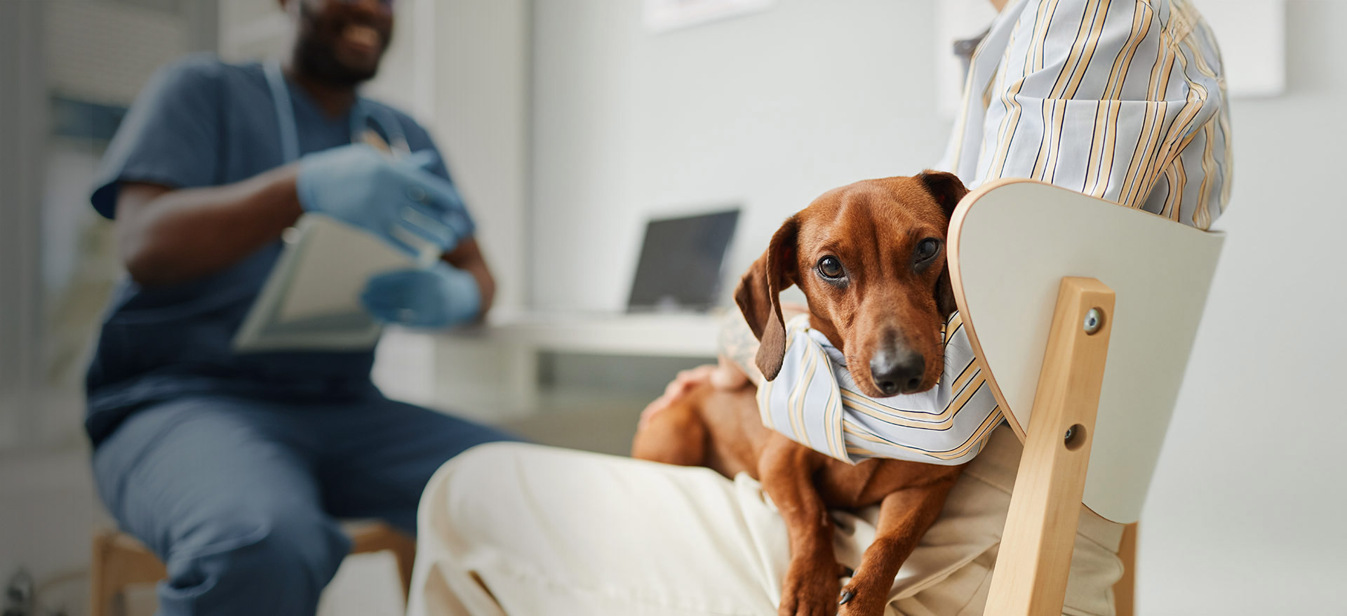 Vet consulting dog owner in clinic - Zoetis