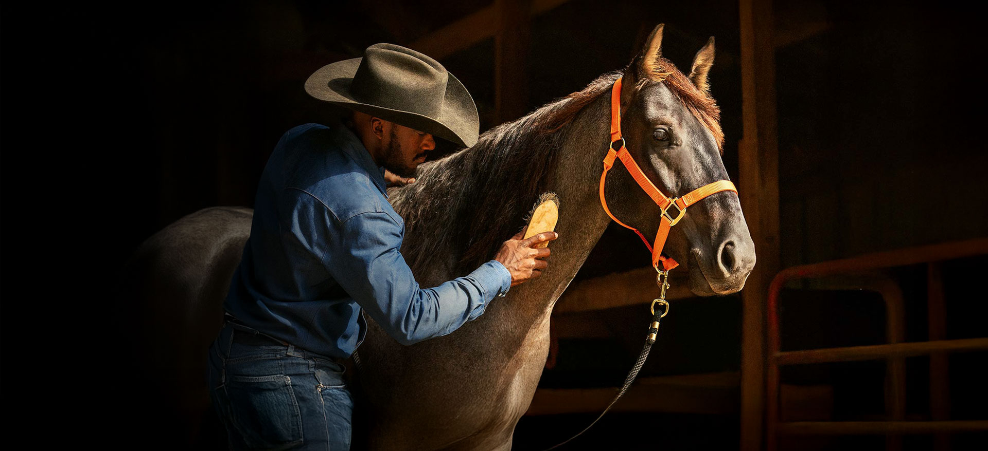 Handler brushing horse - Zoetis