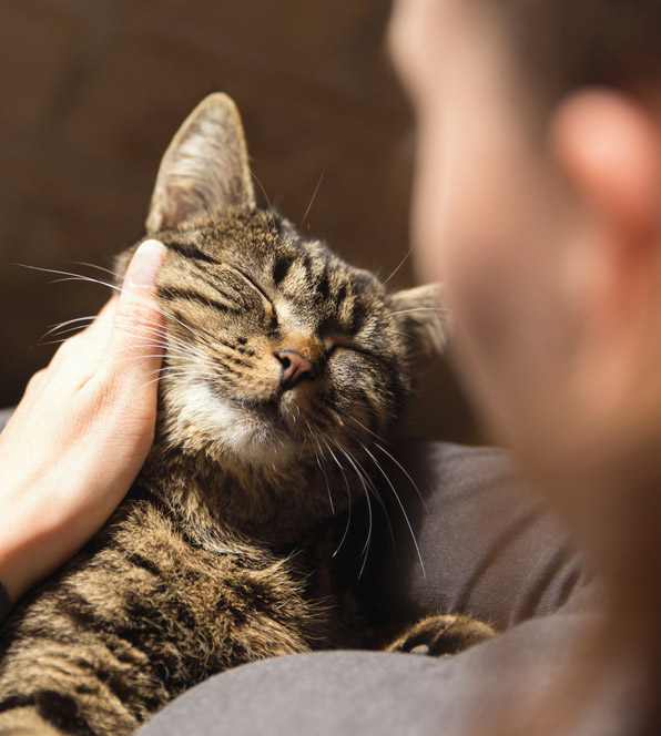 Man With Cat
