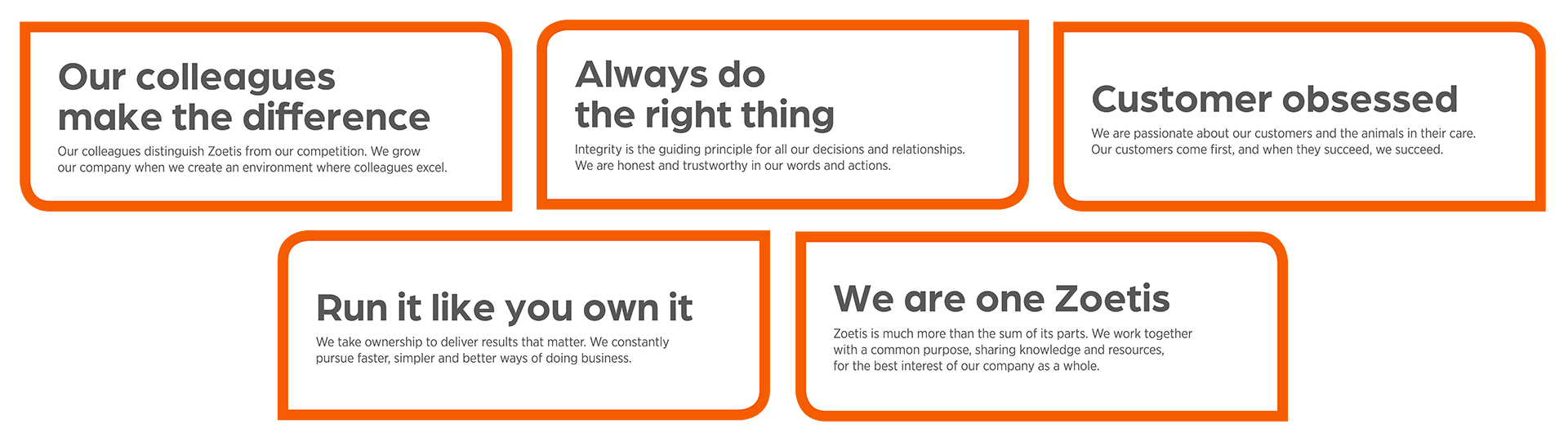 Zoetis Core Beliefs