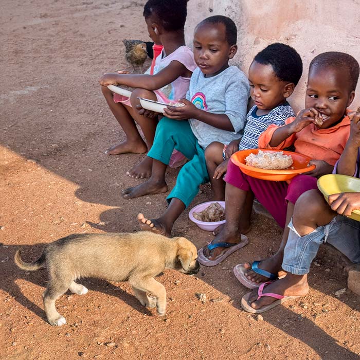 A Bite can be Lethal. We’re Working to Eliminate Rabies - Zoetis