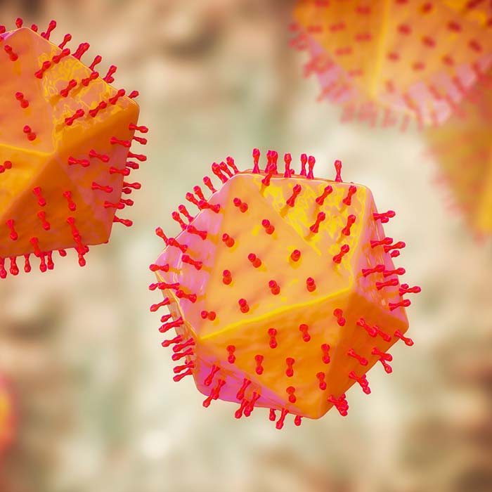 Illustration of African Swine Fever - Zoetis