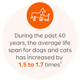 dogs and cats increased lifespan - Zoetis