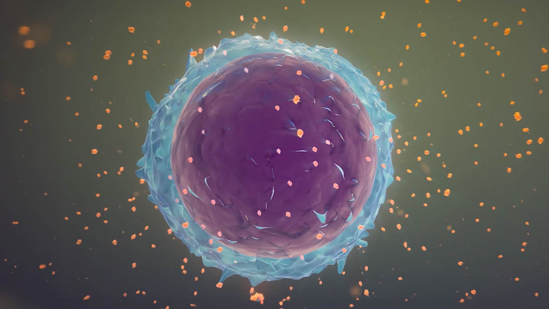 How it Works: Cytopoint | Zoetis