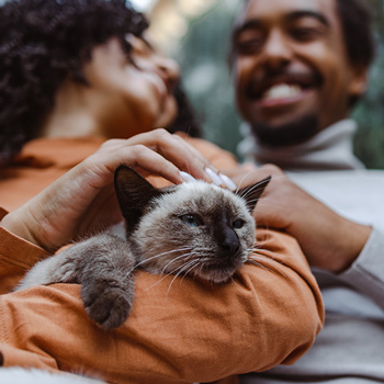couple holding cat - Zoetis