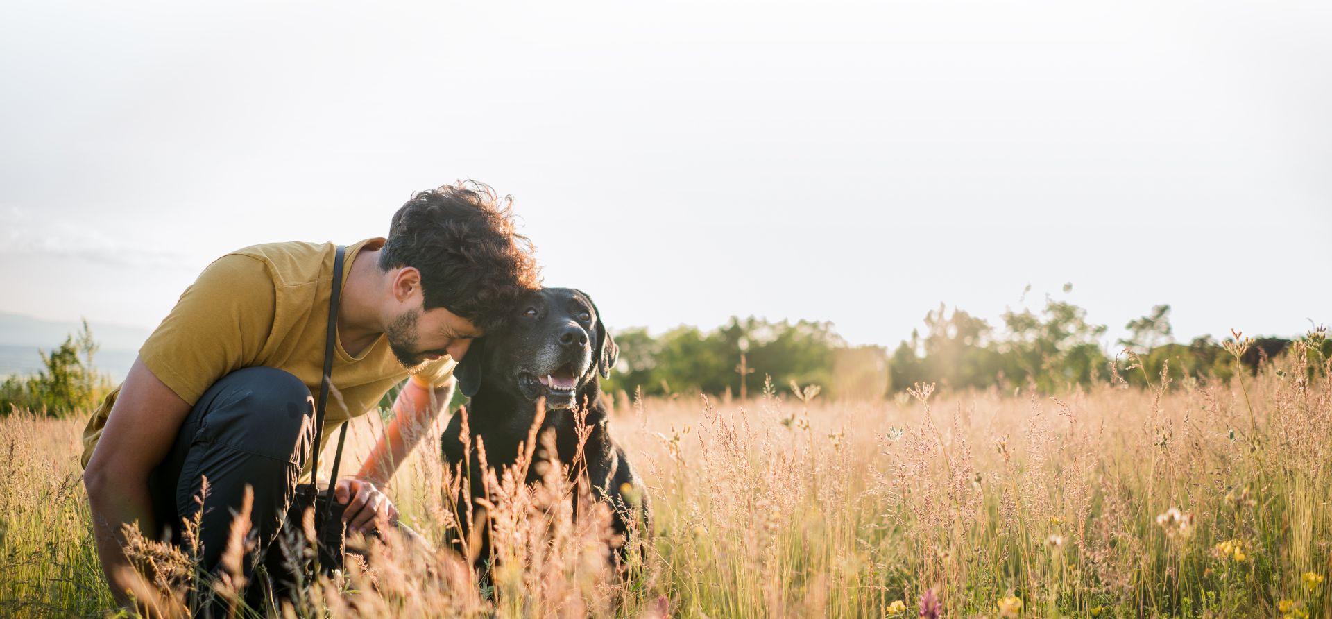 Man and dog in field