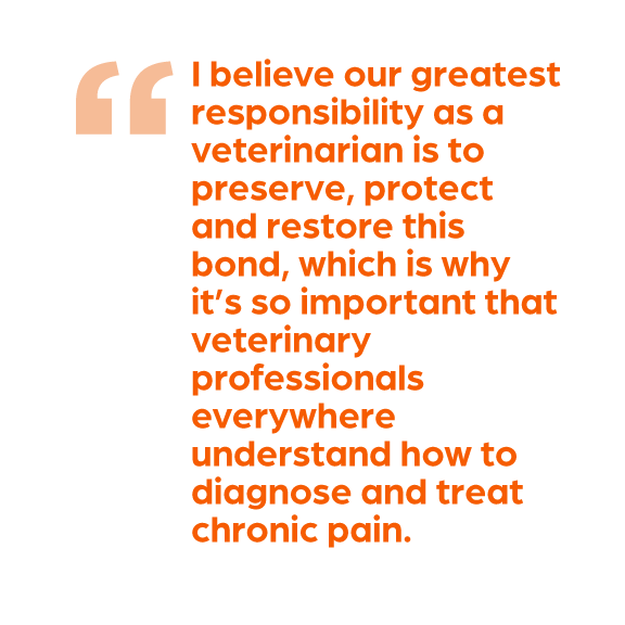 I believe our greatest responsibility as a veterinarian is to preserve, protect and restore this bond, which is why it’s so important that veterinary professionals everywhere understand how to diagnose and treat chronic pain.