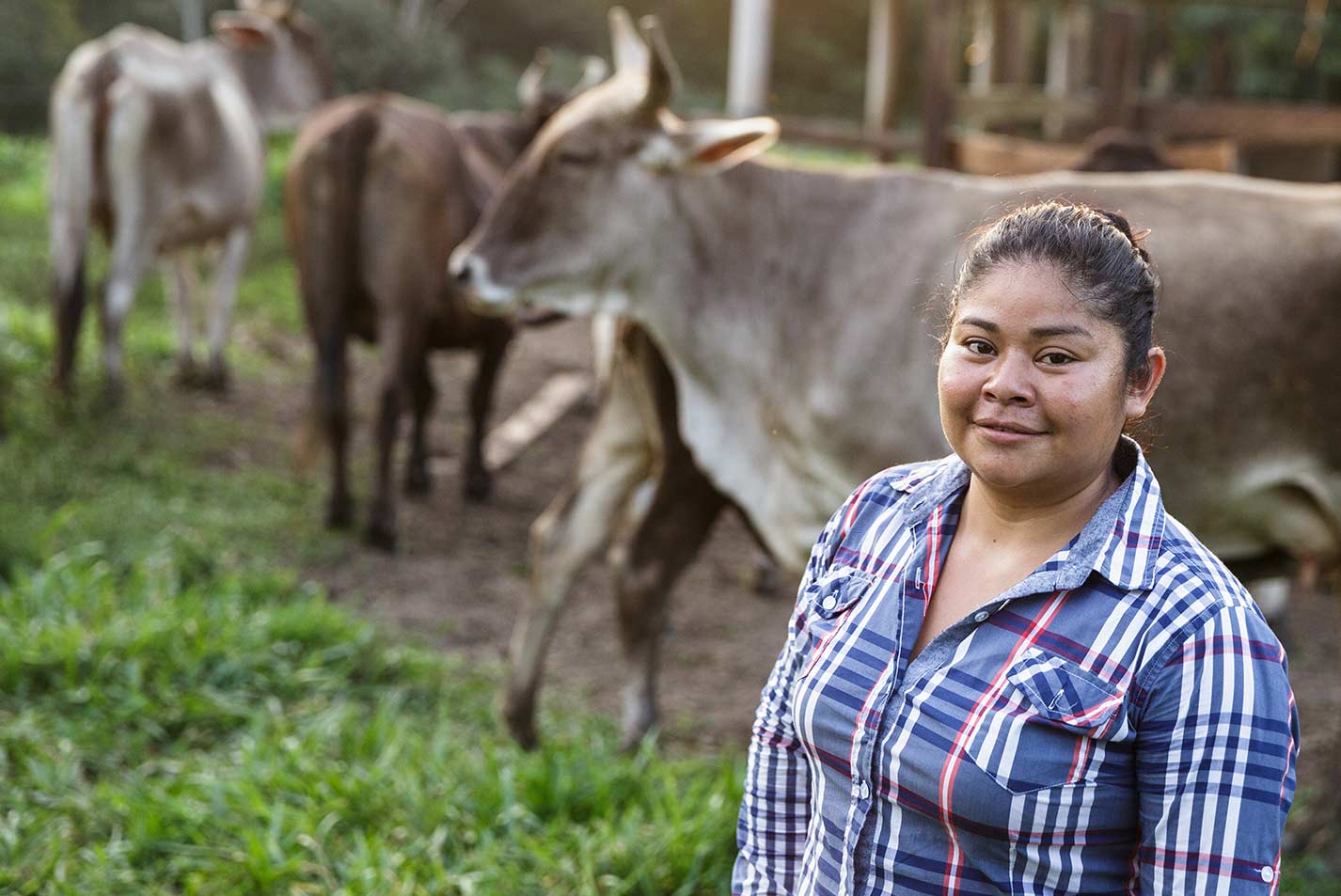 A female farmer stands proudly in a pasture in rural Mexico; in front of several cattle she is caring for.  - Zoetis Foundation - Photo Credit: Heifer International 