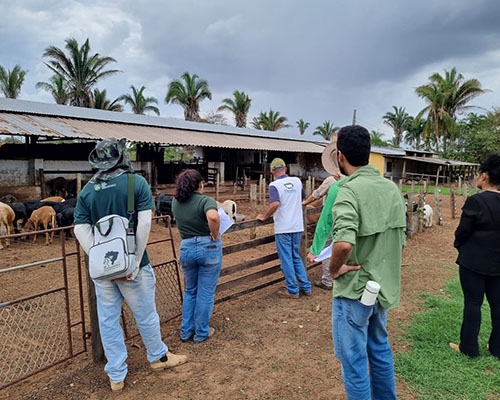 The Nature Conservancy provides training to livestock farmers in Brazil’s Cerrado region - Zoetis