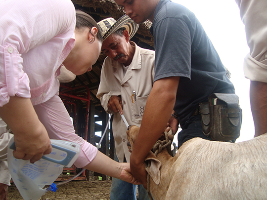 Customers in Colombia with Zoetis Cattle Coordinator, Ana María Ocampo 