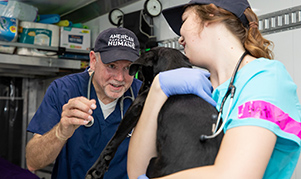 Vet Visit with Dr. Mike McFarland