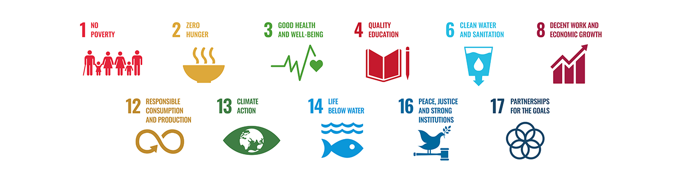 Row of UN SDG icons with titles: 1 No Poverty, 2 Zero Hunger, 3 Good Health and Well-Being, 4 Quality Education, 6 Clean Water and Sanitation, 8 Decent Work and Economic Growth, 12 Responsible Consumption and Production, 13 Climate Action, 14 Life Below Water, 16 Peace, Justice and Strong Institutions, 17 Partnerships for the Goals. - Zoetis