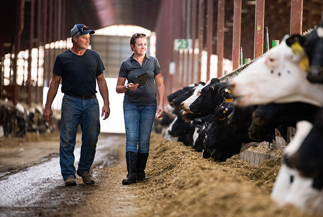 Zoetis colleague and dairy cattle producer walk through facility - Zoetis