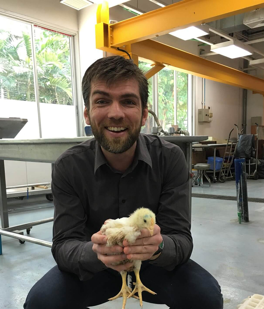 Zoetis veterinarian holding chick
