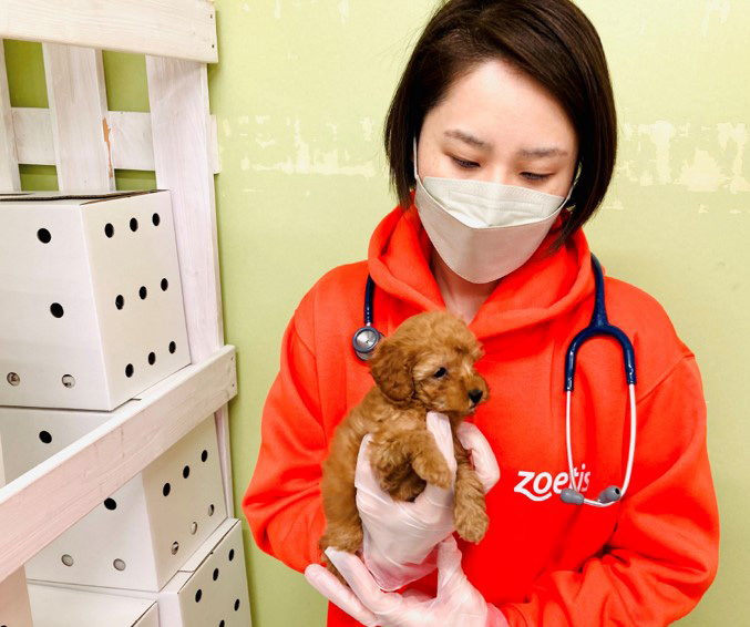 Zoetis veterinarian tending to puppy