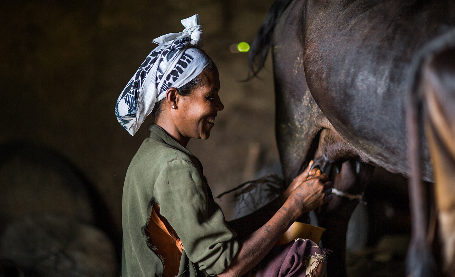 Woman in head scarf smiling tending to livestock - Zoetis