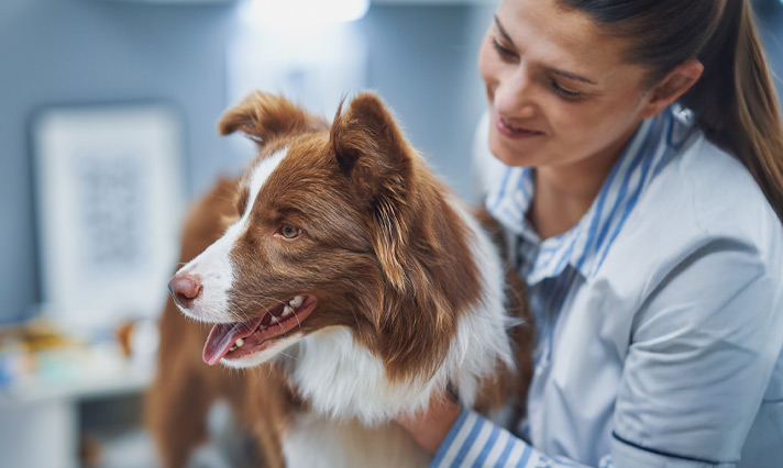 Scientist and dog - Zoetis
