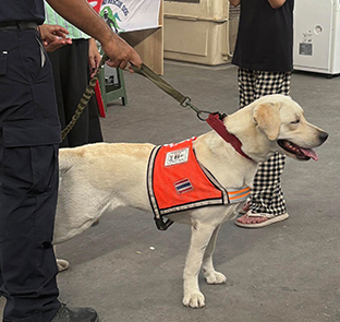 Disaster relief - service dog with red vest - Zoetis