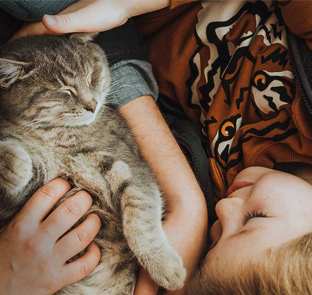 Young boy petting cat - Zoetis