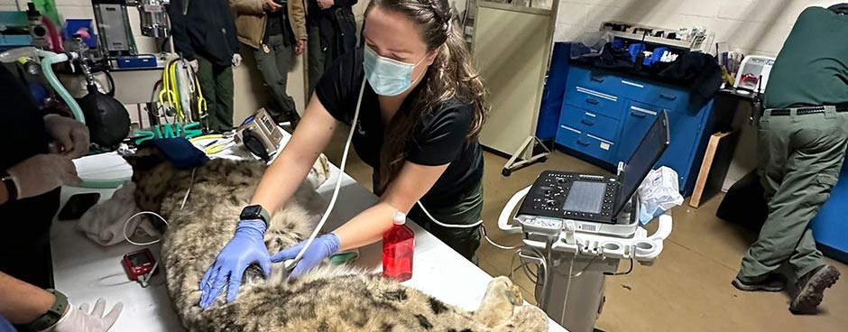 Education Grantees - Zoetis