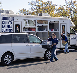 Access to veterinary care - Zoetis