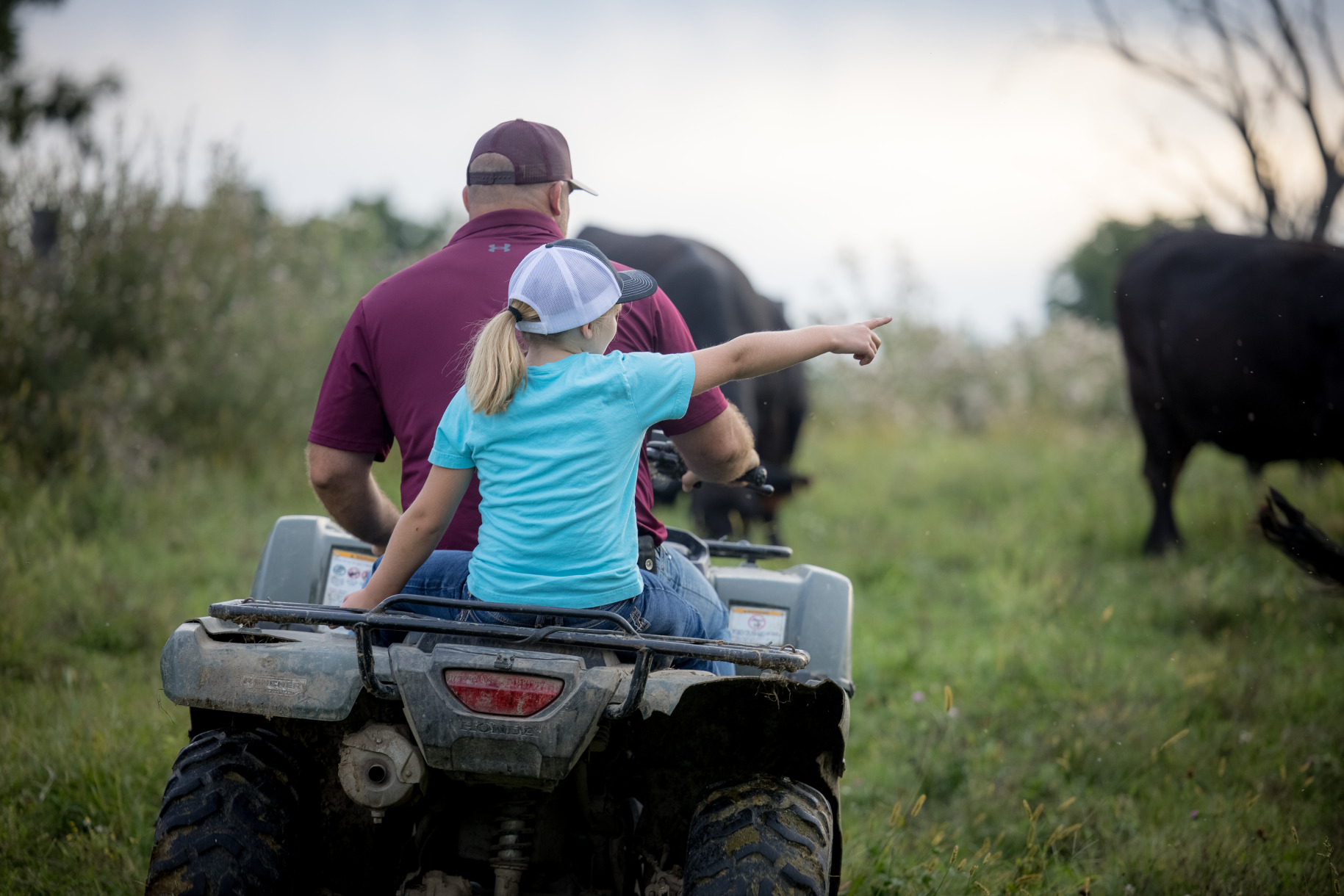 Young girl riding on the back of four wheeler with man in cattle field - Zoetis