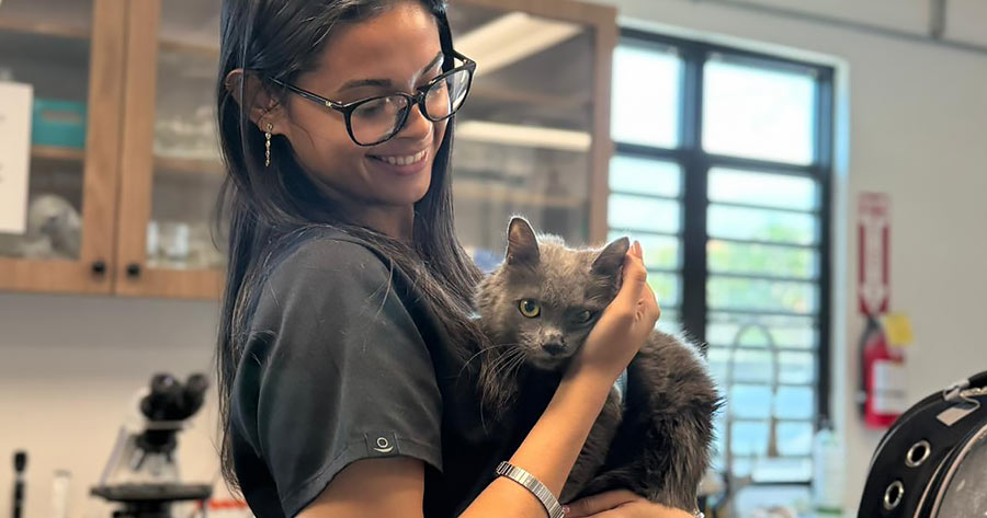 Veterinary technician student and scholarship recipient holding gray cat – Zoetis Foundation