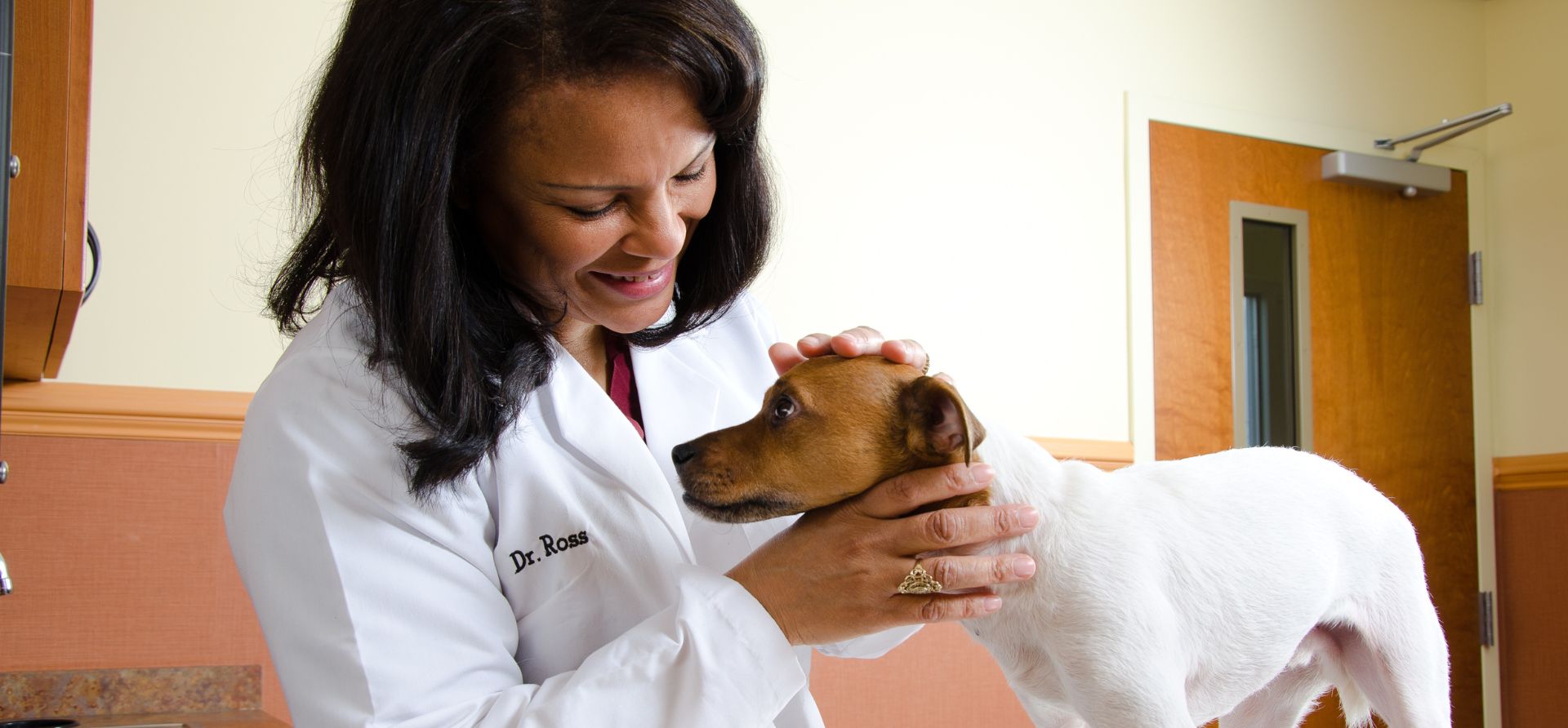 Vet with dog