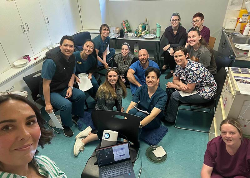 Veterinary clinic staff participate in AVA’s Cultivating Safe Teams program - Zoetis Foundation