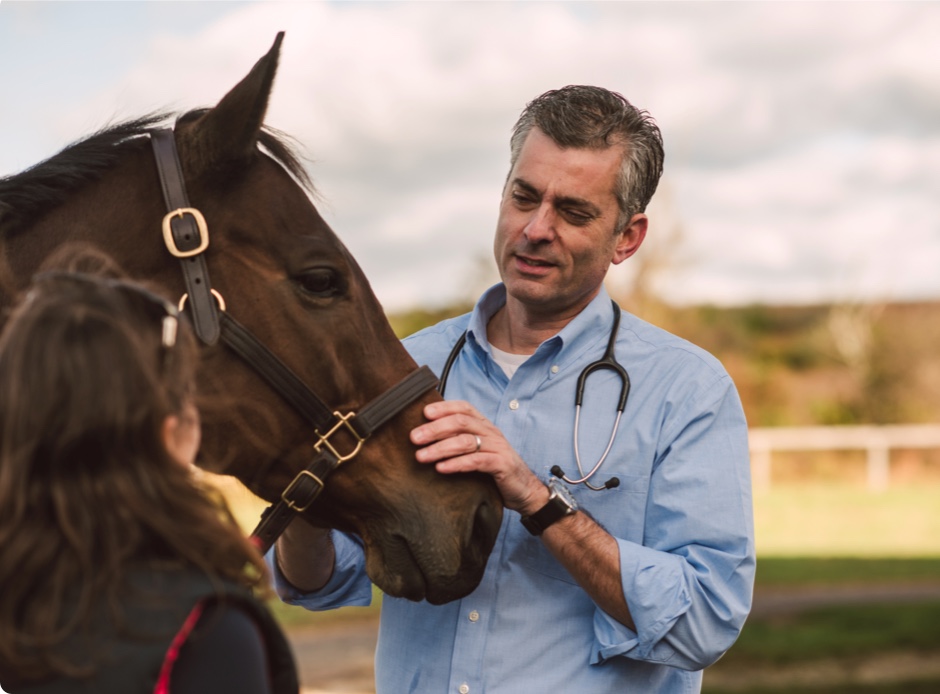 Veterinarian examining horse while owner stands by - Zoetis