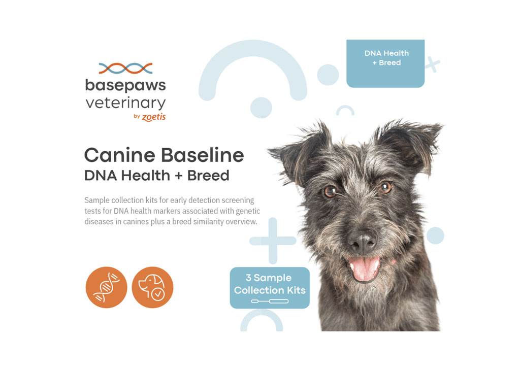 Basepaws Canine Baseline DNA Health + Breed - Zoetis